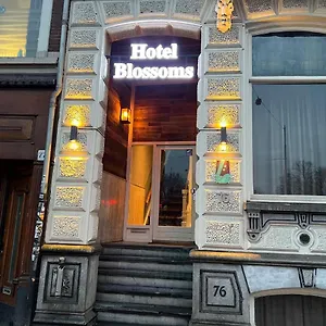 vivaldi-budget-hotel.amsterdamhotelsnl.com/